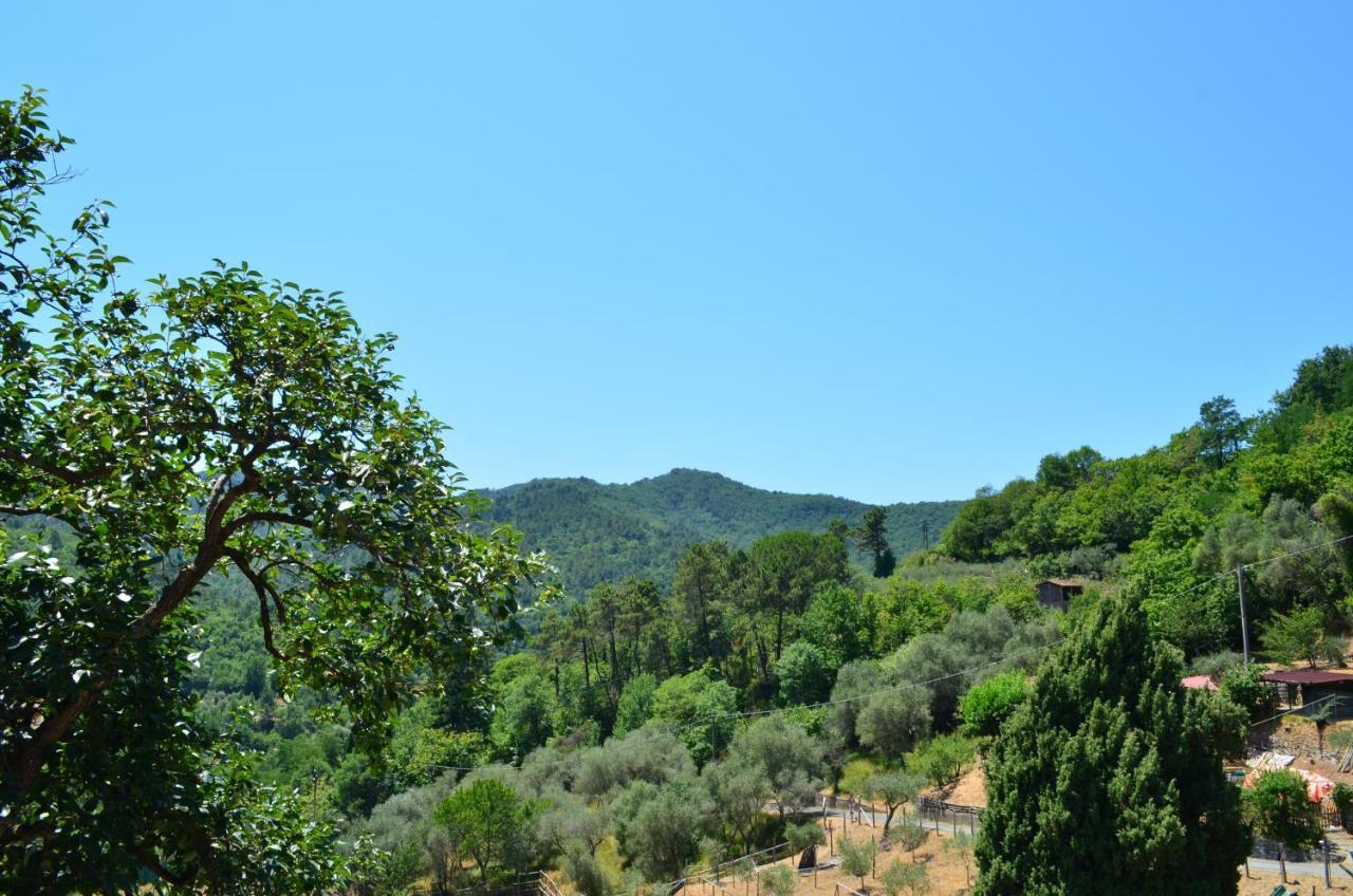Agriturismo Torsivi Castiglione Chiavarese Extérieur photo
