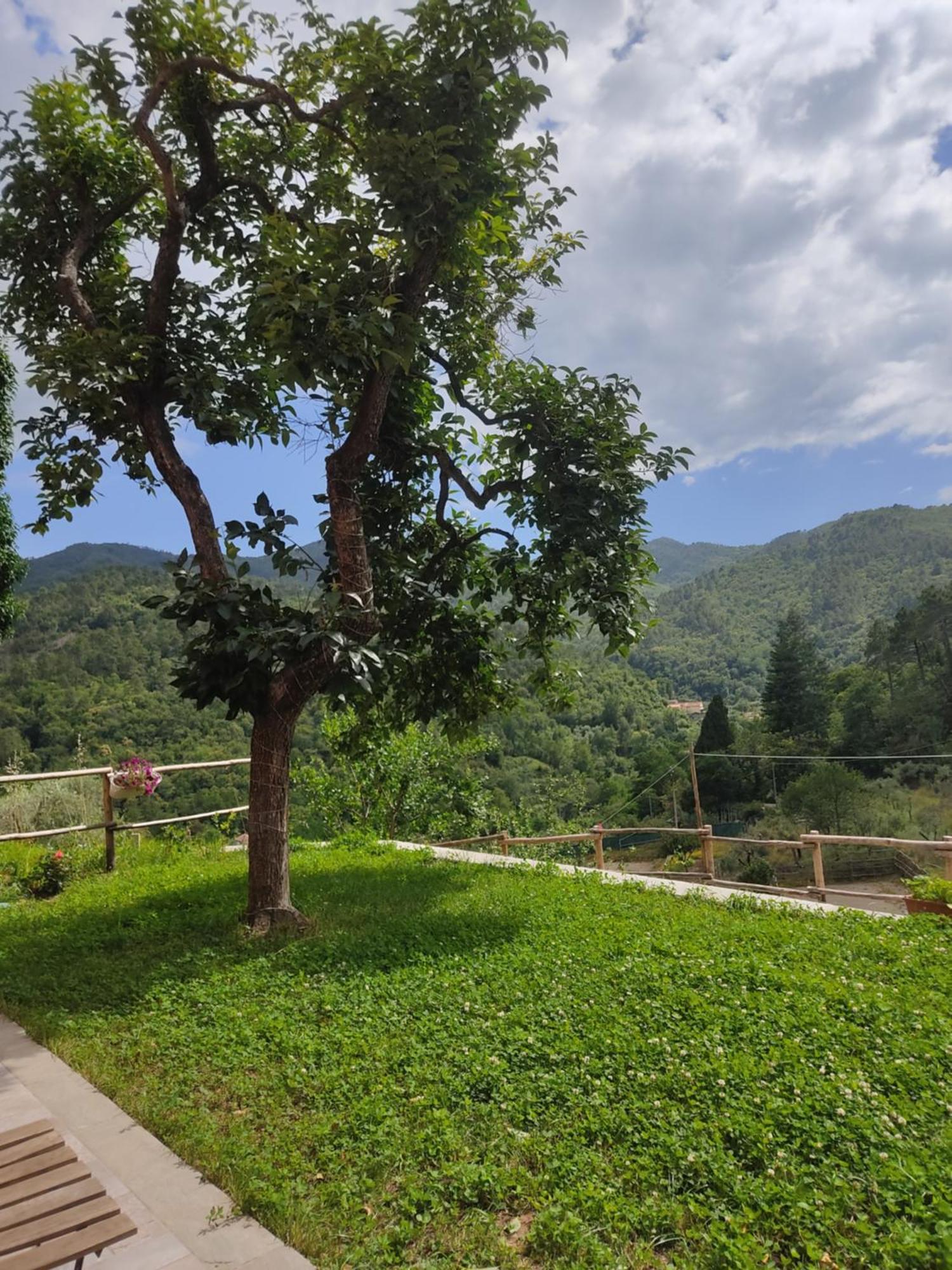 Agriturismo Torsivi Castiglione Chiavarese Extérieur photo